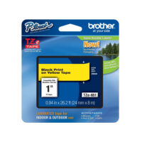 Cinta_Brother_TZE-651_clie.cl