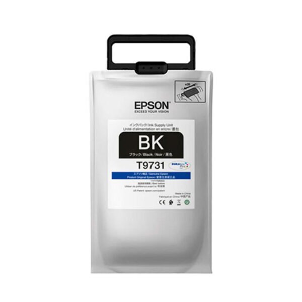 Tinta_Epson_T973120_clie.cl